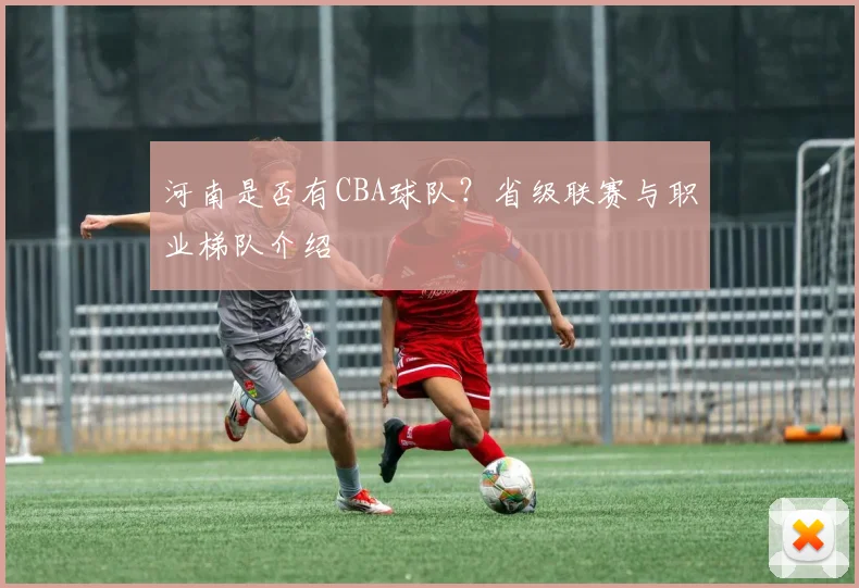河南是否有CBA球队？省级联赛与职业梯队介绍